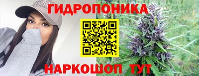 ГАЛЛЮЦИНОГЕННЫЕ ГРИБЫ Гусиноозёрск