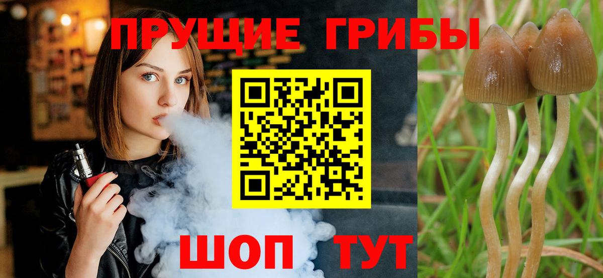 Галлюциногенные грибы ЛСД  Псилоцибиновые грибы Cubensis  Михайловск  как найти закладки  Вход с VPN 