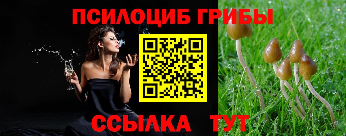 Галлюциногенные грибы GOLDEN TEACHER Михайловск